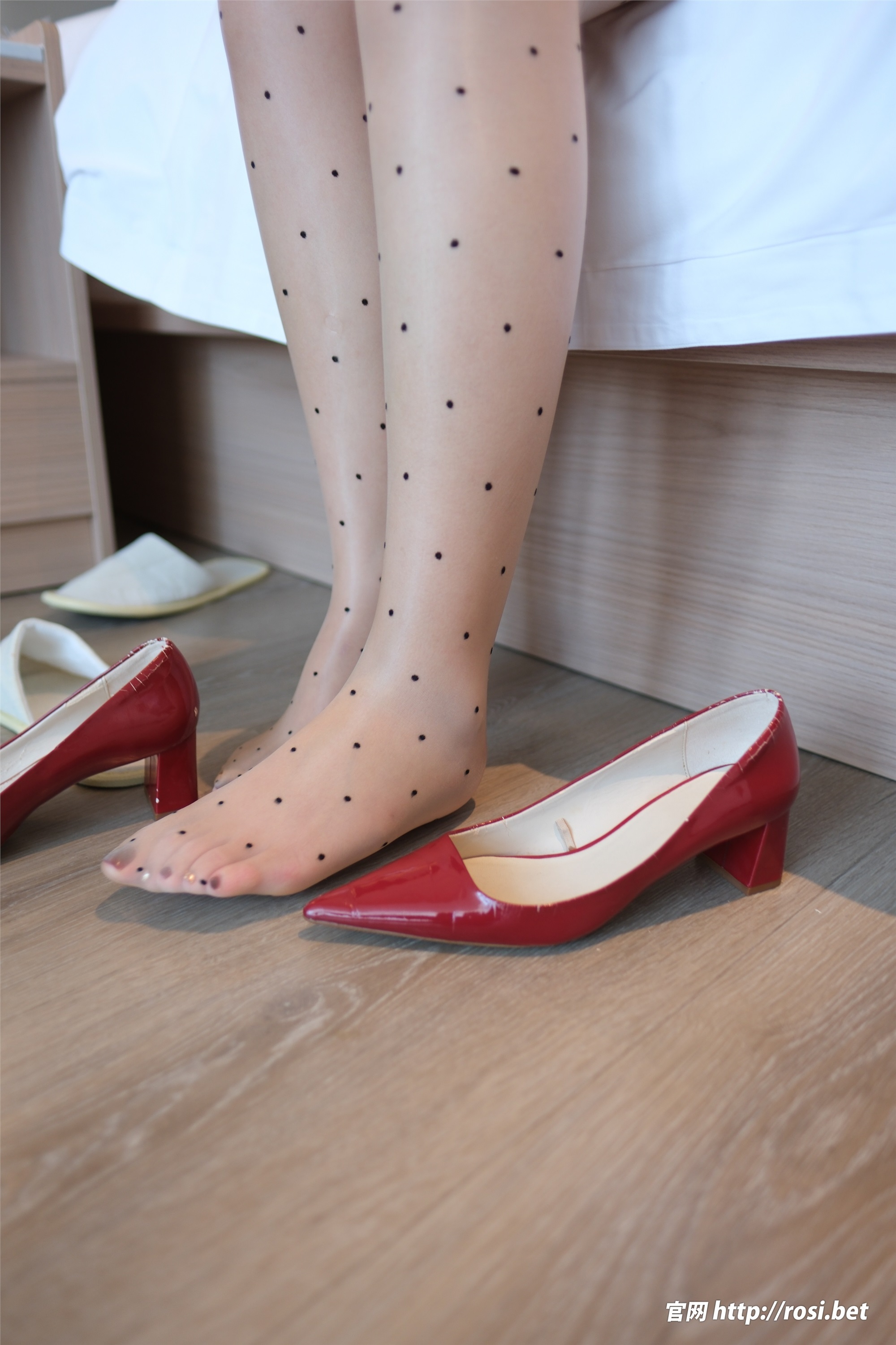 ROSI写真 2024.12.14 NO.4758